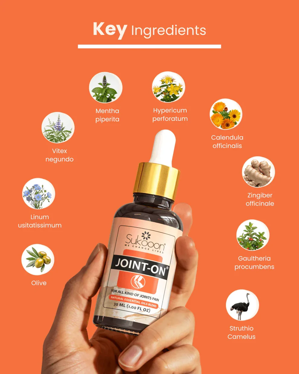 JOINT-ON Essential Oil Blend by Sukooon - Image 4
