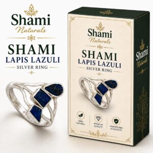 Shami - Lapis Lazuli Silver Ring