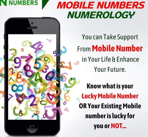WhatsApp Image 2024-11-01 at 14.57.02_cdf31559